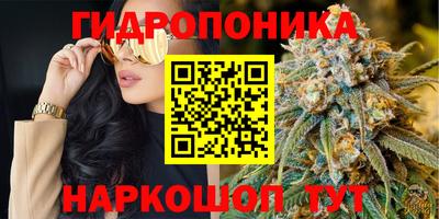 меф Краснознаменск