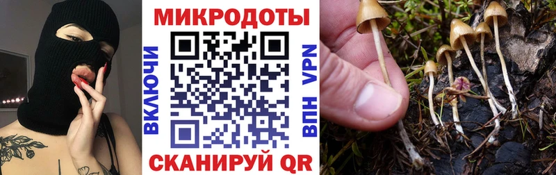 Галлюциногенные грибы ЛСД  hydra зеркало  Славгород  купить  сайты 