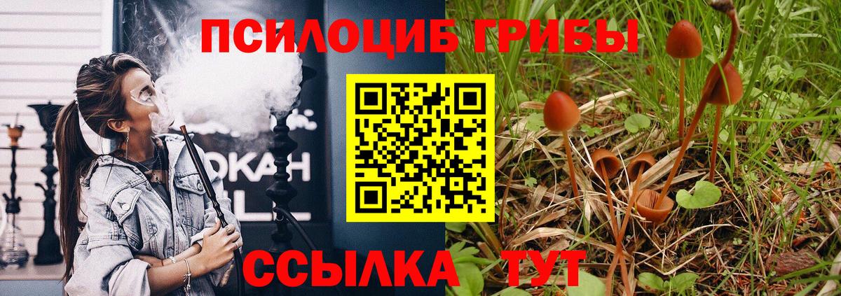 Славгород  Галлюциногенные грибы GOLDEN TEACHER  Вход с VPN 