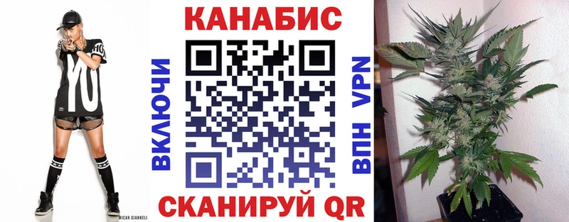 Каннабис Amnesia  купить наркоту  Славгород 