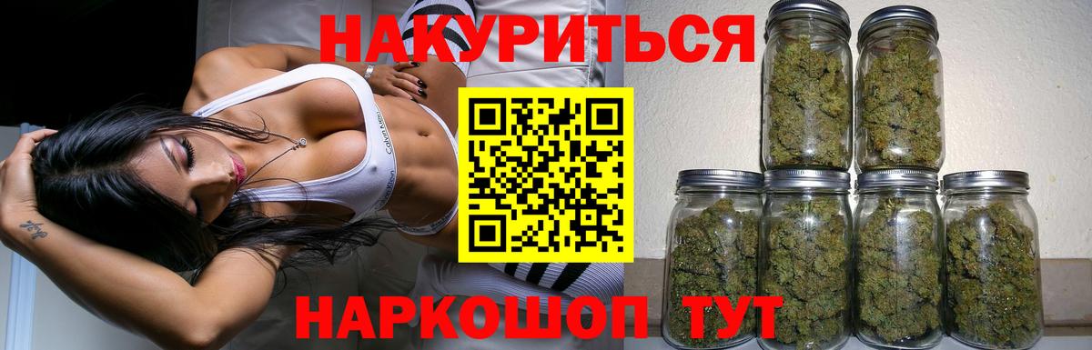 Каннабис планчик  Канабис сатива  МАРИХУАНА White Widow  Славгород 