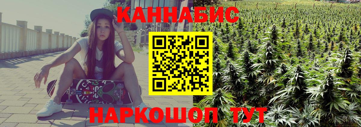 Шишки марихуана конопля Славгород